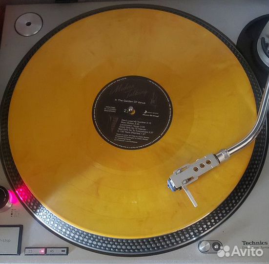 Виниловая пластинка Modern Talking - In The Garden