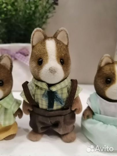 Sylvanian families гончие