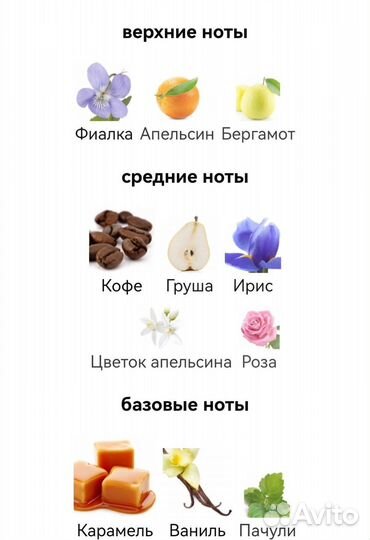 The Only One Dolce&Gabbana для женщин