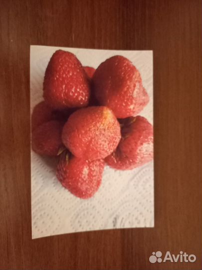 Рассада-Помидор-Перцев-Баклажанов-Кабачков-Огурцов