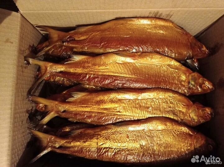 Рыба копченная, Сиг Из Армении,Свежий,опт/розница