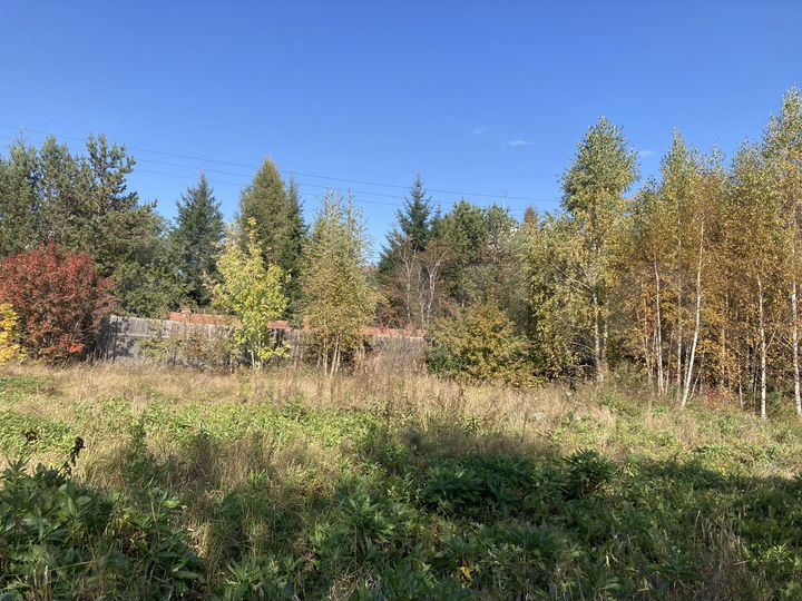 Участок 15 сот. (ИЖС)