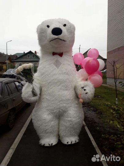 Мишка Белый умка, Бурый и Мишка Тедди