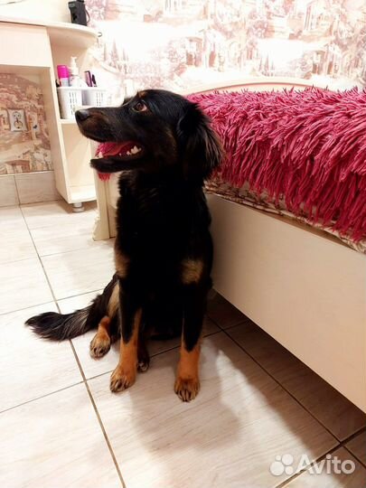 Марго в заботливые ручки