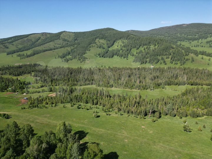 Участок 100 сот. (промназначения)