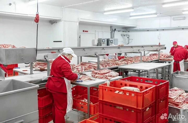 Готовый бизнес ищет займ, доход 34293 в месяц