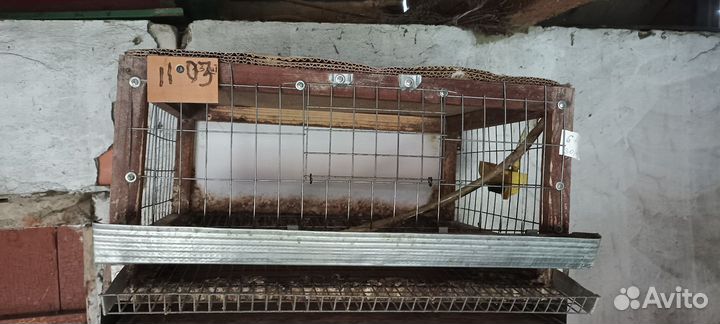 Клетки для перепелов