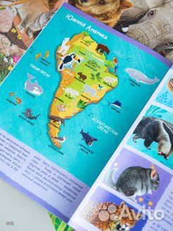 Обучающий набор. Новый