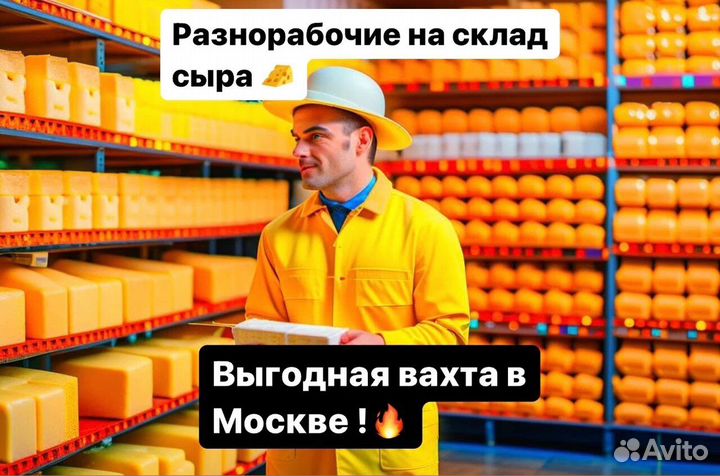 Разнорабочий на сырный\завод(питание+проживание)