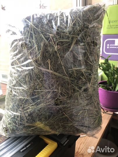 Сено для кроликов