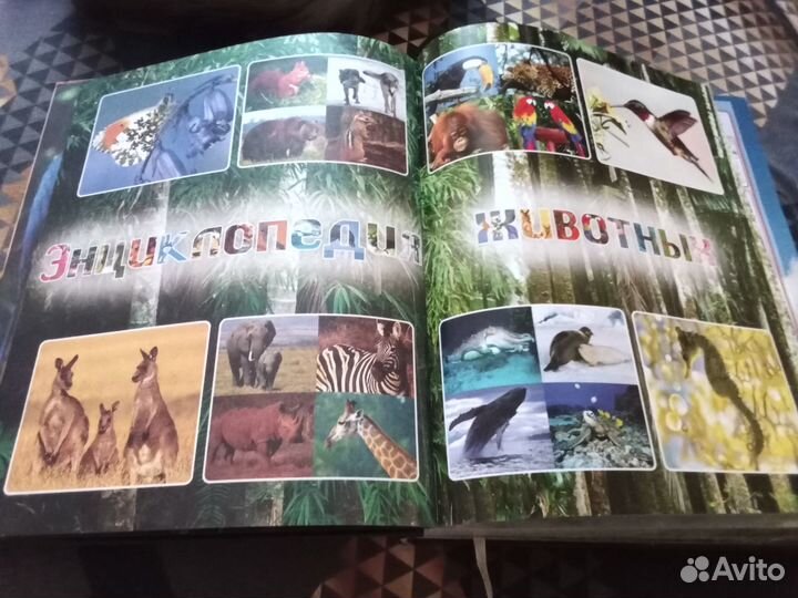 Энциклопедия животных