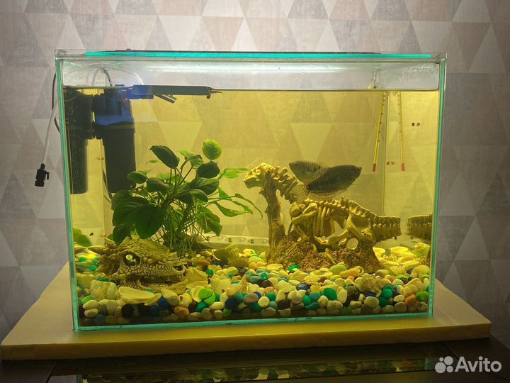 Аквариум