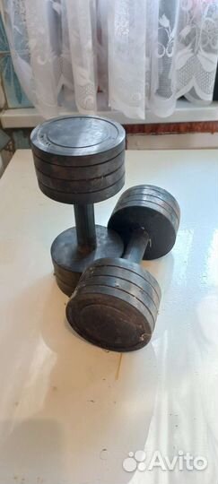 Гантели разборные