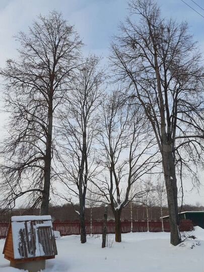 Участок 50 сот. (ИЖС)