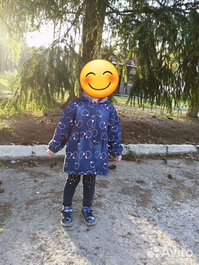 Ветровка