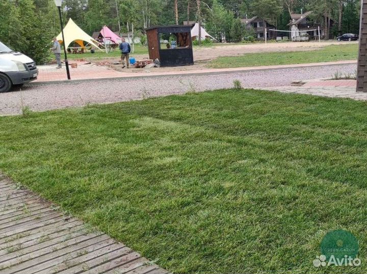 Отличный газон под ключ