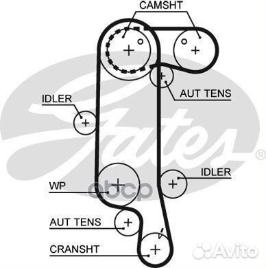 Ремень грм audi / skoda / VW 1.4-1.6 99-07 / 00