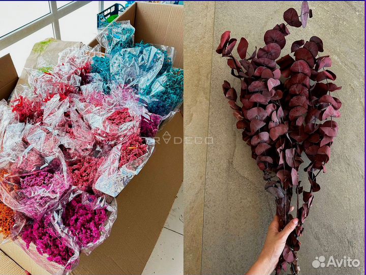 Стабилизированные растения и сухоцветы