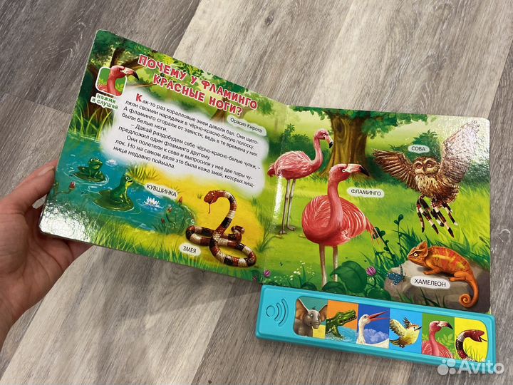 Детские книги музыкальные