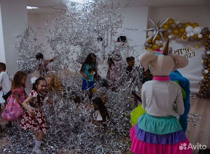 Серебряное шоу. Бумажное шоу. Аниматор