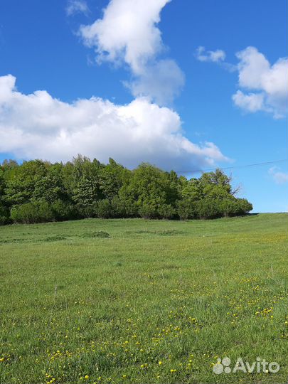 Продажа меда