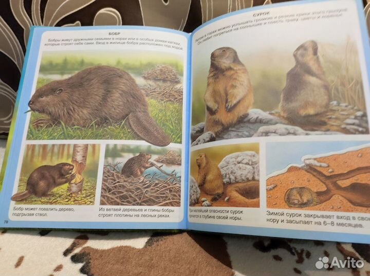 Книга о животных