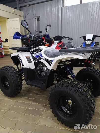 Квадроцикл C8 NEW LUX 125 кубов