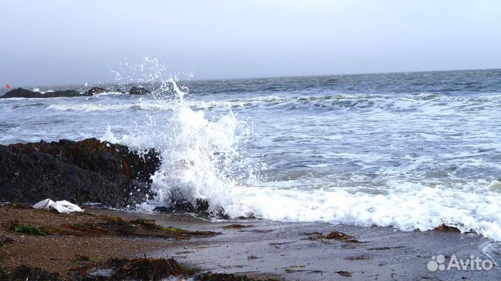 Объектив Sony SAL-1855 DT18-55mm F/3.5-5.6