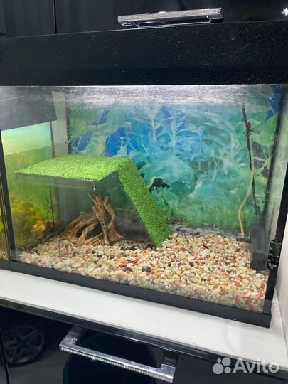 Аквариум