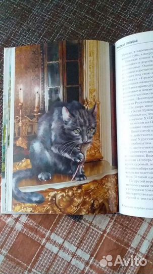 Книга детская