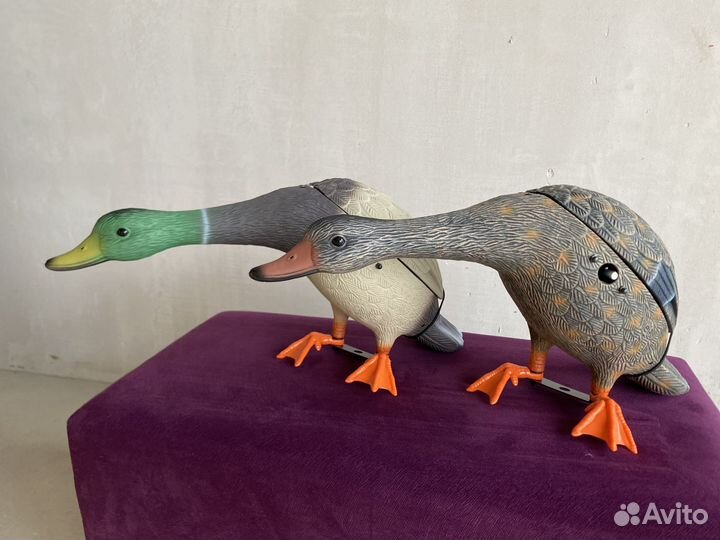 Утка махокрыл, чучело утки махокрыл, приманка