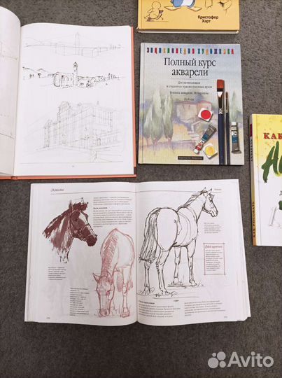 Художественная школа Искусство рисунка Акварель