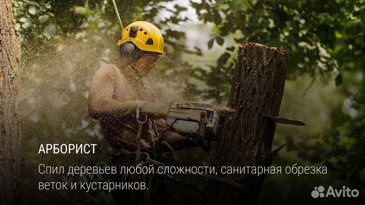 Арборист спил и удаление аварийных деревьев