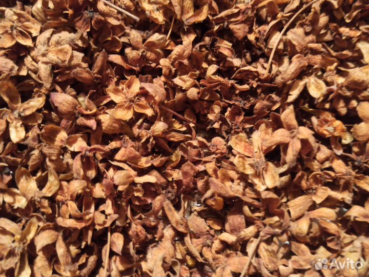 Чашелистики морошки