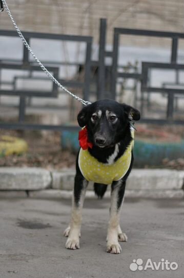 Принцесса, 10 месяцев