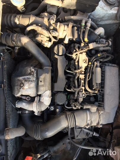 Citroën Berlingo 2003-2007 Подвеска