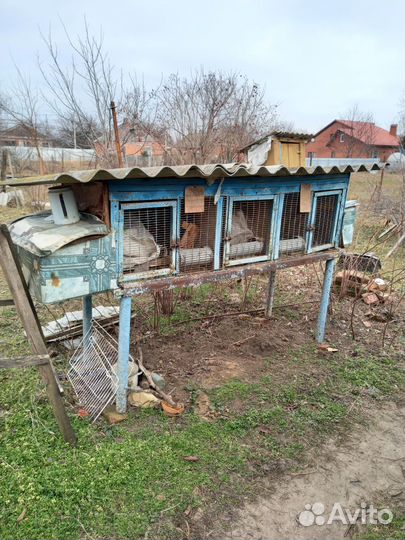 Клетки для кроликов