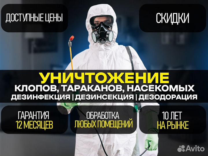 Уничтожение клопов тараканов грызунов плесени