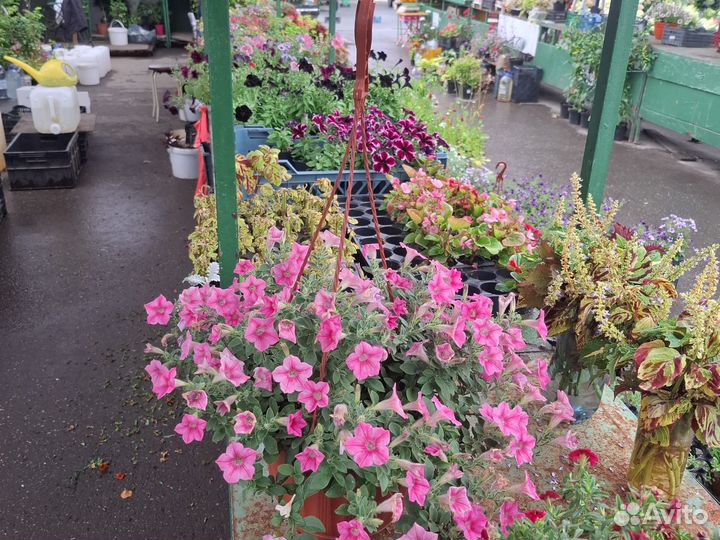 Кашпо подвесное