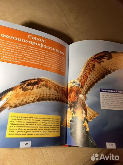 Детская энциклопедия с доп. Реальностью Astar