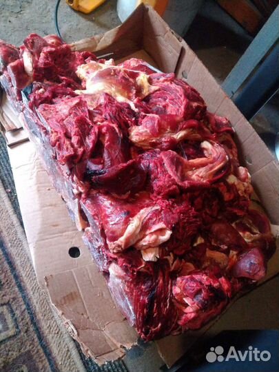 Мясо И ливер для собак И кошек