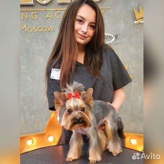 Грумер село Бестужевское