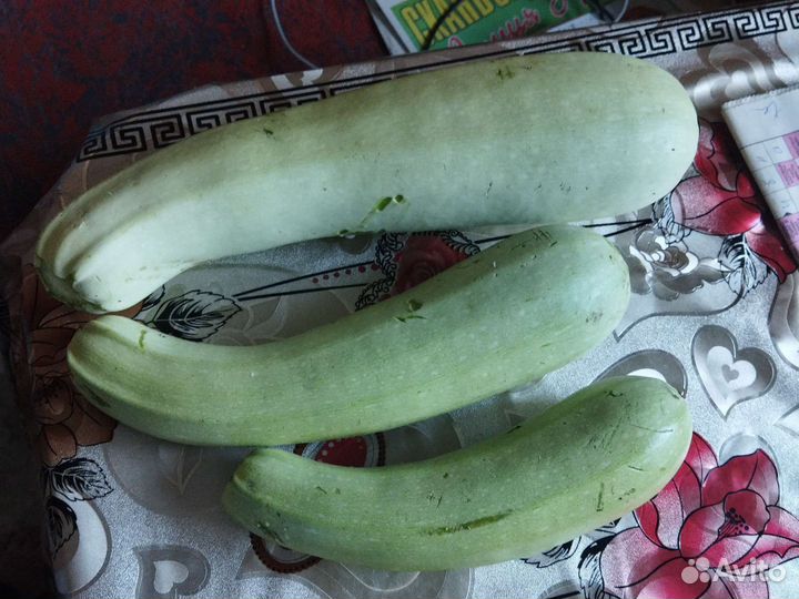 Кабачки свежие