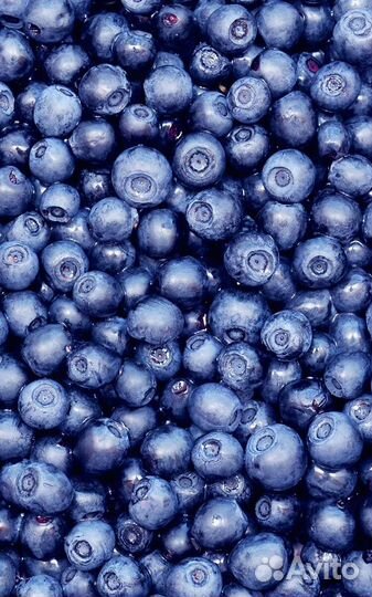 Малиновое варенье