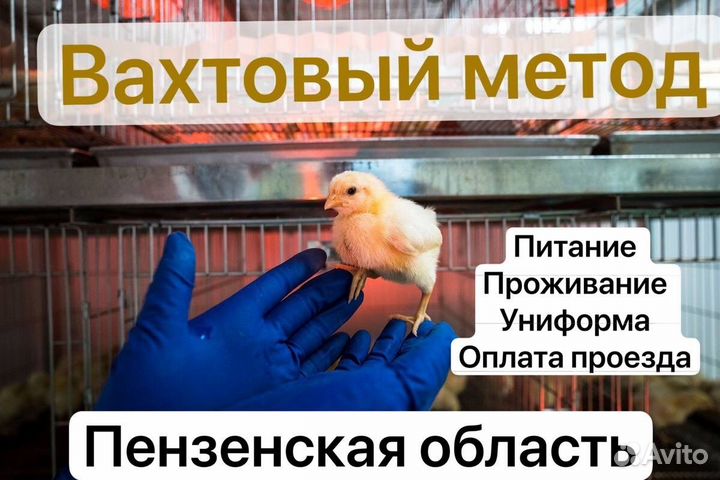 Вахтовый метод разнорабочий Оплата проезда