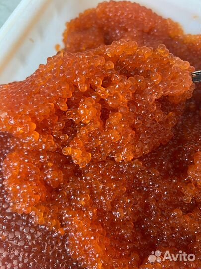 Красная икра горбуши