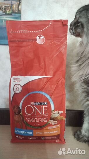 Сухой корм для щенков