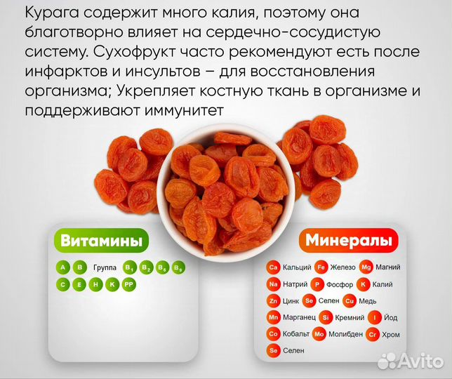 Курага дагестанская