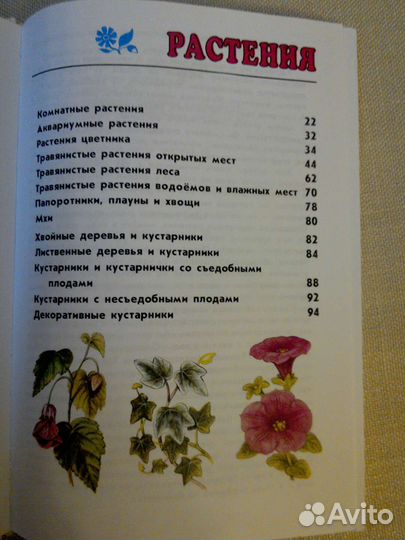 Атлас-определитель для учащихся начальных классов