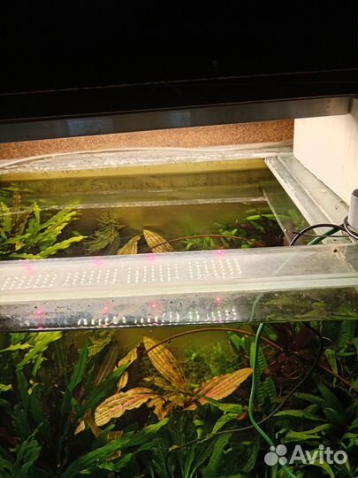 Аквариум